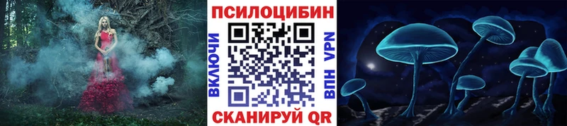 Псилоцибиновые грибы мицелий  KRAKEN как войти  Навашино 